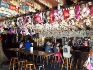 Captain Tony's Saloon photo